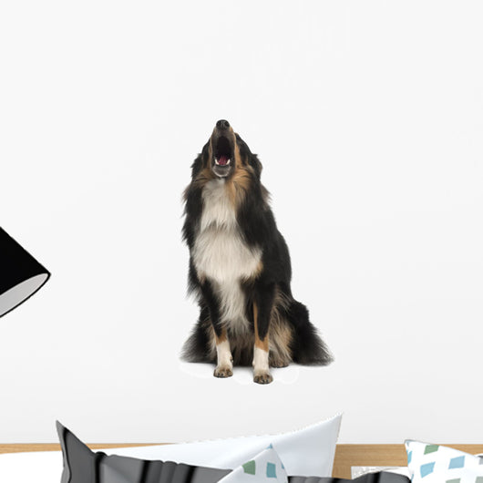 Shetland Sheepdog Wall Decal