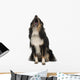 Shetland Sheepdog Wall Decal