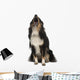 Shetland Sheepdog Wall Decal