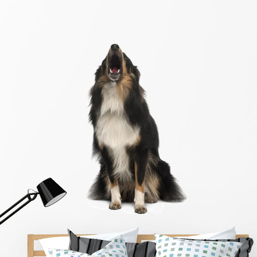 Shetland Sheepdog Wall Decal