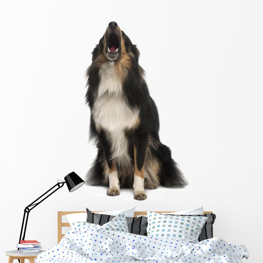 Shetland Sheepdog Wall Decal