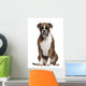 Boxer Sitting against White Wall Decal