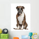 Boxer Sitting against White Wall Decal