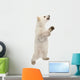 Polar Bear Cub Standing on Hind Legs Wall Decal