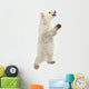 Polar Bear Cub Standing on Hind Legs Wall Decal