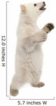 Polar Bear Cub Standing on Hind Legs Wall Decal