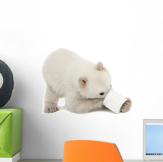 Polar Bear Cub with Plastic Jar Wall Decal