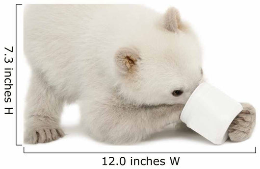 Polar Bear Cub with Plastic Jar Wall Decal