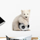 Polar Bear Cub with Soccer Ball Wall Decal