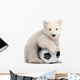 Polar Bear Cub with Soccer Ball Wall Decal