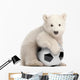 Polar Bear Cub with Soccer Ball Wall Decal