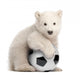 Polar Bear Cub with Soccer Ball Wall Decal