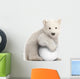 Polar Bear Cub with a Snowball Wall Decal