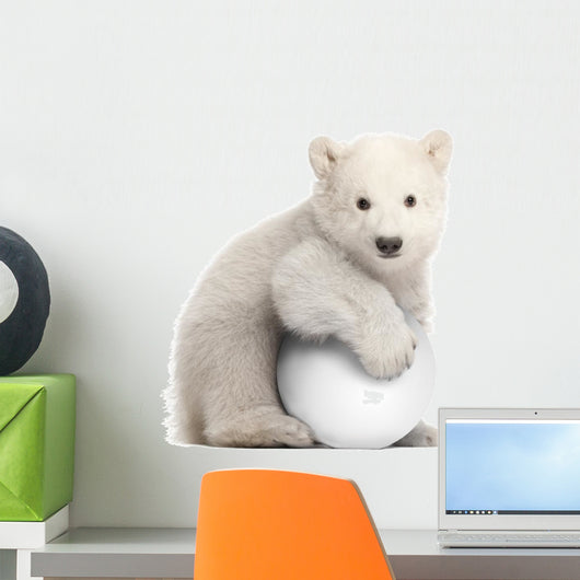 Polar Bear Cub with a Snowball Wall Decal