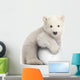 Polar Bear Cub with a Snowball Wall Decal
