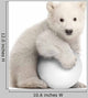 Polar Bear Cub with a Snowball Wall Decal