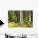 European Mixed Forest Wall Decal