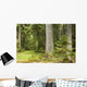 European Mixed Forest Wall Decal