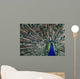 Peacock Wall Mural