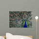 Peacock Wall Mural