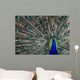 Peacock Wall Mural