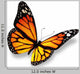 Yellow-orange Butterfly Wall Decal