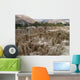 La Paz Vallee La Wall Decal
