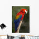Macaw or Red Macaw Wall Decal