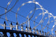 Barbed and Razor Wire Wall Decal