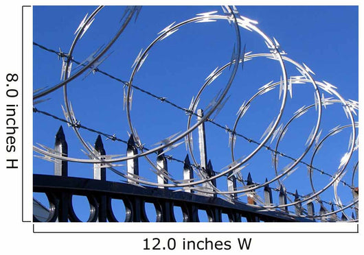 Barbed and Razor Wire Wall Decal