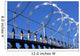 Barbed and Razor Wire Wall Decal