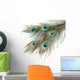 Peacock Feathers White Close-up Wall Decal
