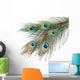Peacock Feathers White Close-up Wall Decal