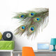Peacock Feathers White Close-up Wall Decal
