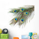 Peacock Feathers White Close-up Wall Decal