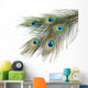 Peacock Feathers White Close-up Wall Decal