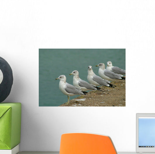 Row Seagulls Pier Wall Decal