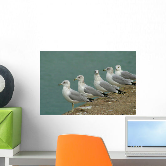 Row Seagulls Pier Wall Decal