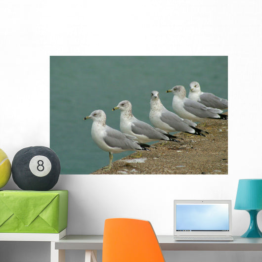 Row Seagulls Pier Wall Decal