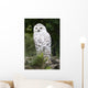 Snowy Owl Wall Decal