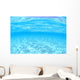 Shallows White Sand Bottom Wall Decal