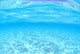 Shallows White Sand Bottom Wall Decal