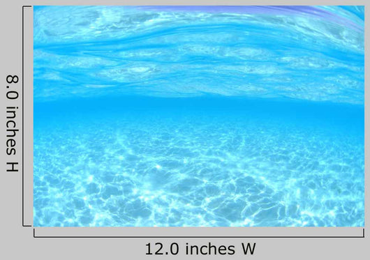 Shallows White Sand Bottom Wall Decal