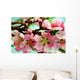 Peach Blossoms Wall Decal