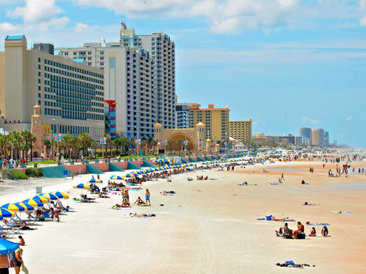 Daytona Beach Wall Decal