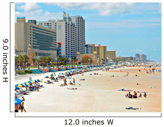 Daytona Beach Wall Decal
