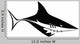 Angled Shark Vector Image Wall Decal
