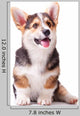 Dog Breed Welsh Corgi Wall Decal