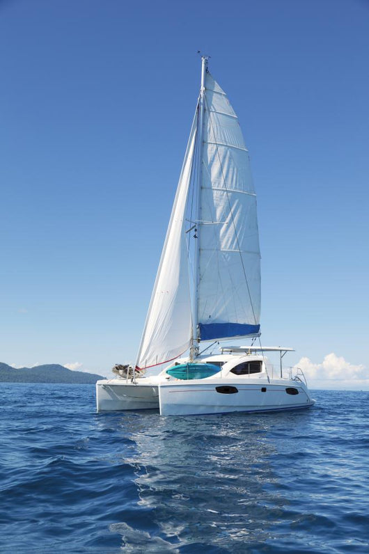 Catamaran Sea Wall Decal