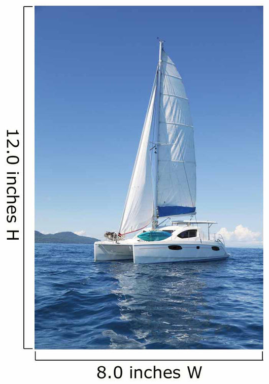 Catamaran Sea Wall Decal